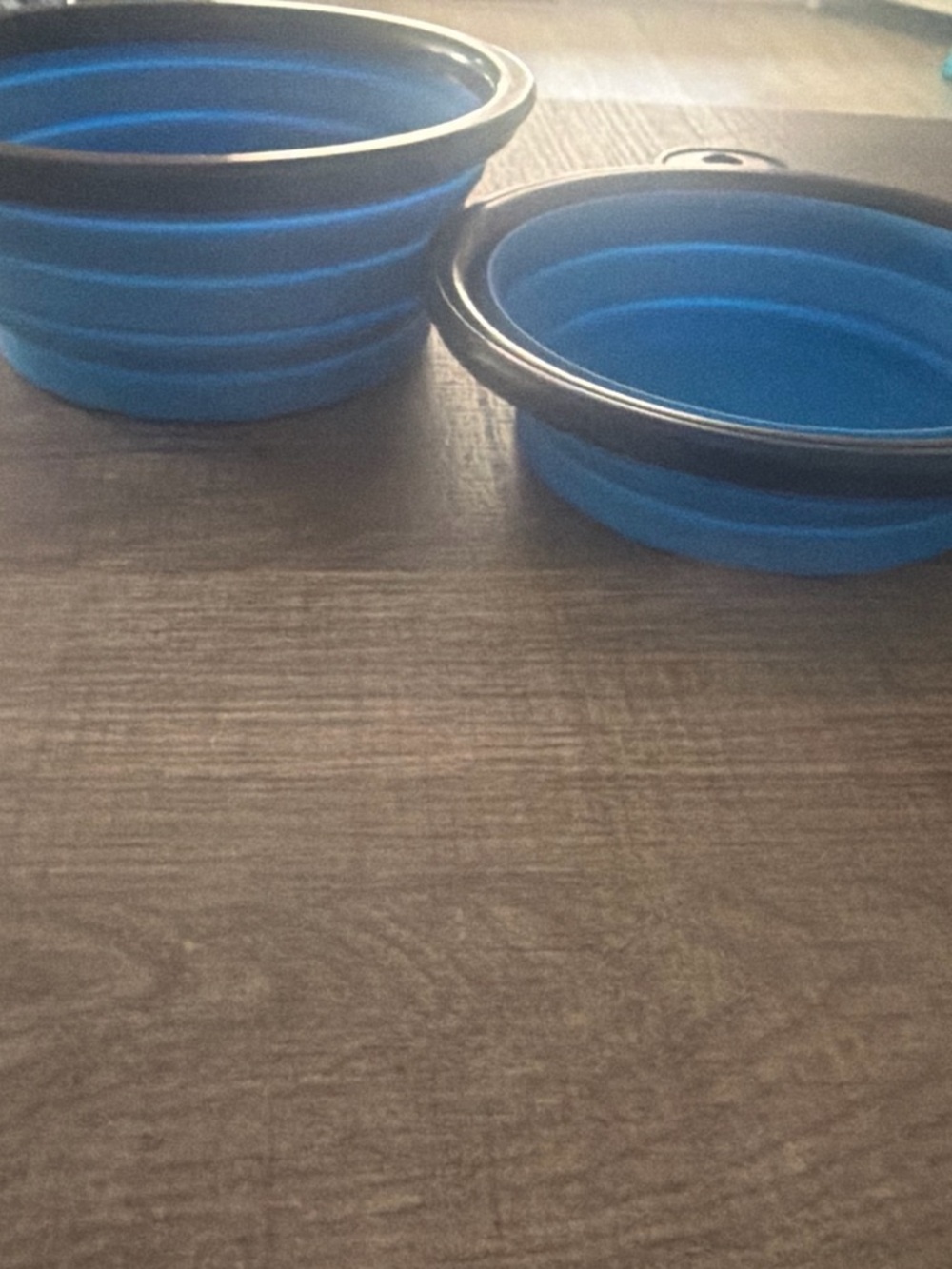 Collapsible Silicone Pet Bowls - Blue with Black Rim